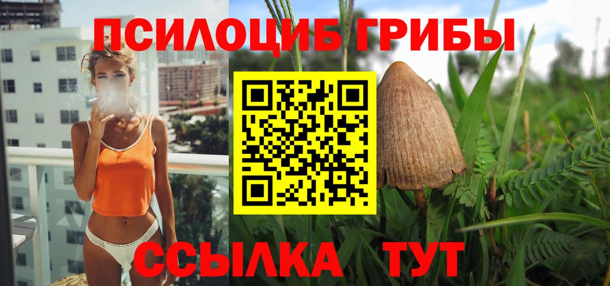Псилоцибиновые грибы Magic Shrooms  Вход с VPN  Галлюциногенные грибы GOLDEN TEACHER  Жигулёвск 